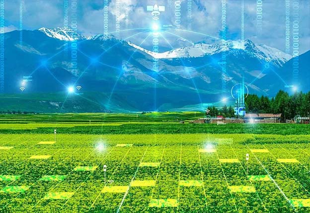 ZONEWU führt Smart Agriculture LoRaWAN ein